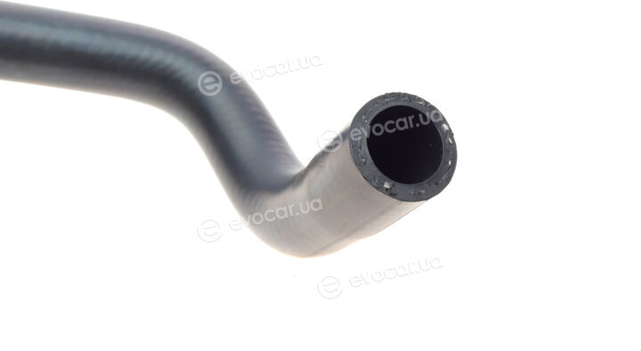 DP CS 81579 İBR