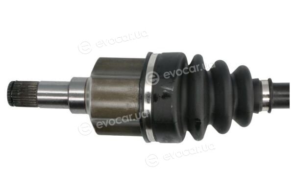 Pascal G2G059PC
