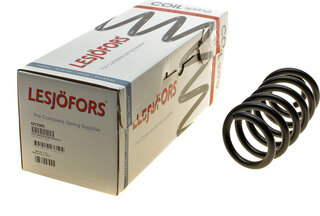 Lesjofors 4272965