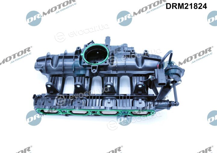 Dr. Motor DRM21824