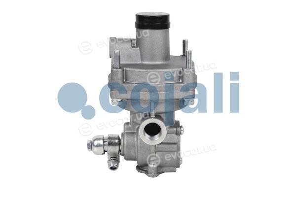 Cojali 2220351