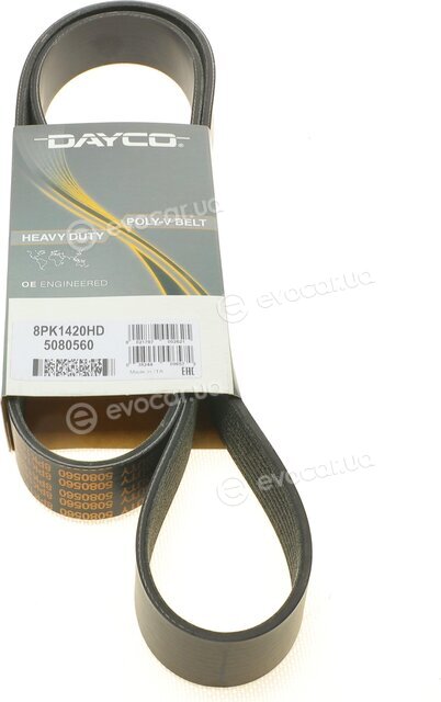 Dayco 8PK1420HD