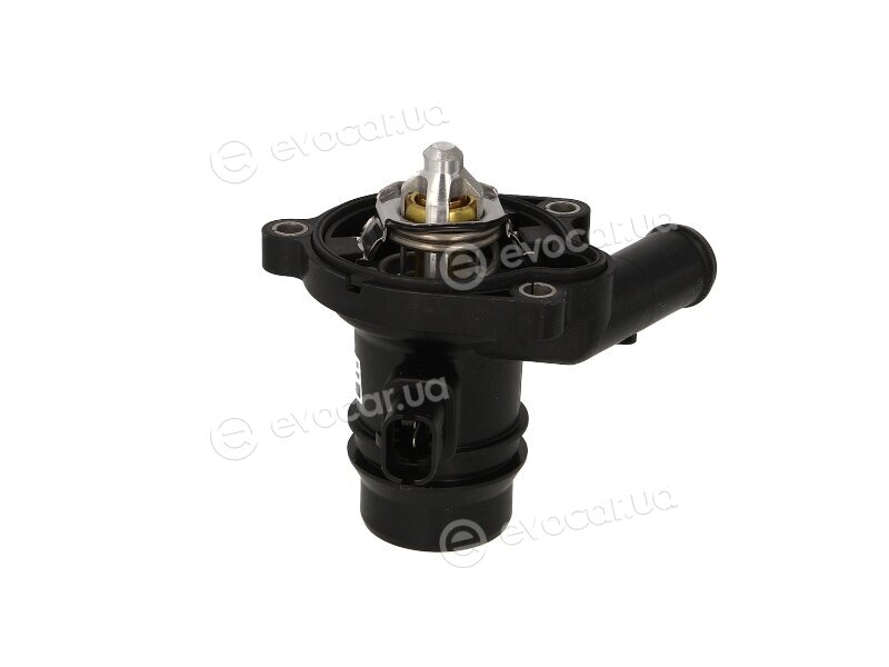 Mahle TM 36 103
