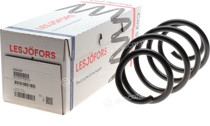 Lesjofors 4095069