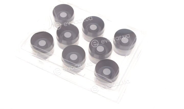 Borsehung B11307