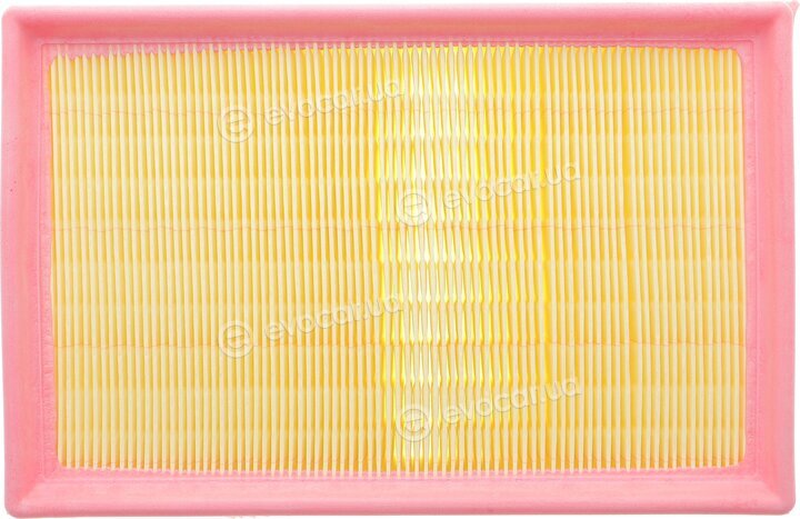Solgy 103164