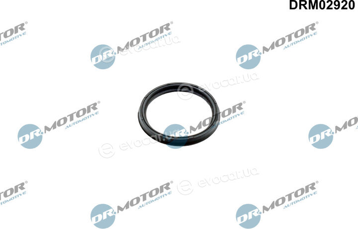 Dr. Motor DRM02920