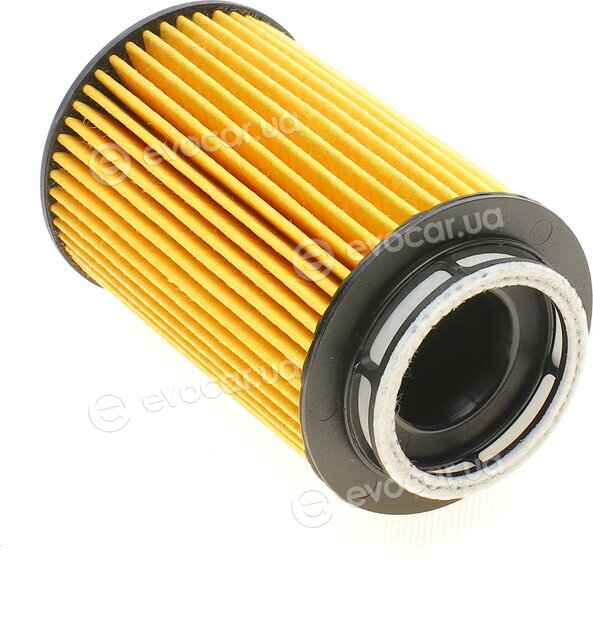 Purflux L1069