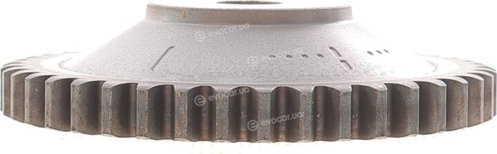 Motive TCK304