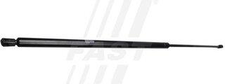 Fast FT94019