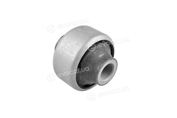 Tedgum TED60545
