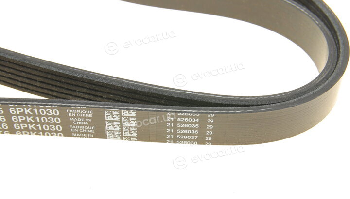 Dayco 6PK1030