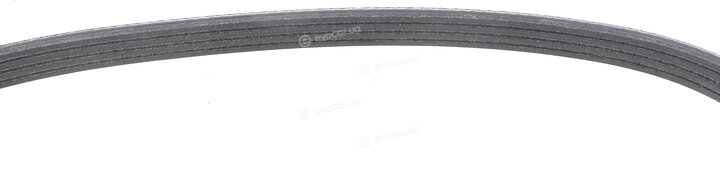 Dayco 4PK698