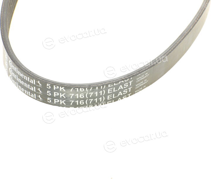 Continental 5PK716 ELAST