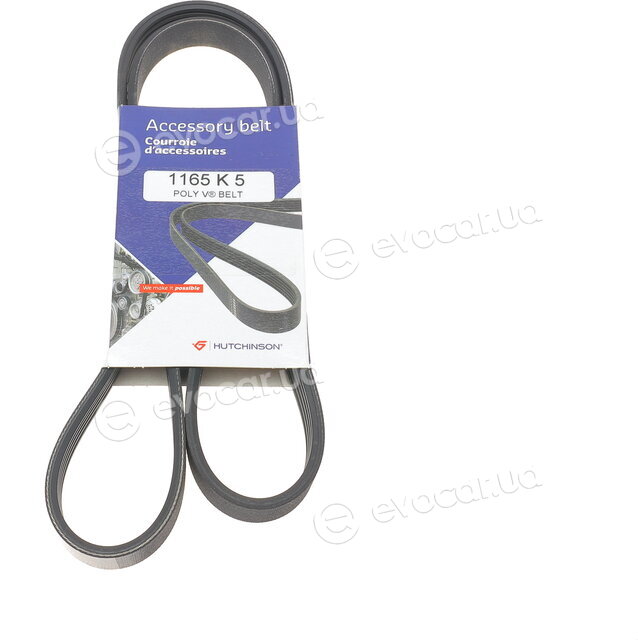 Hutchinson 1165 K 5