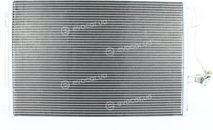 Zilbermann 04-834