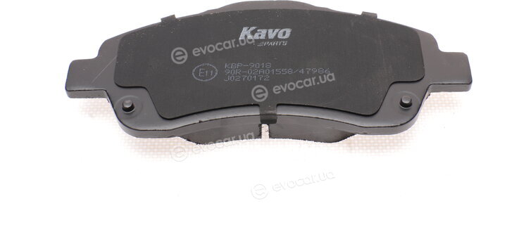 Kavo KBP-9018
