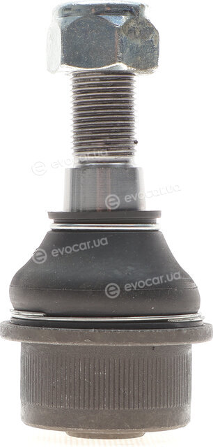 Kapimsan 31-23001