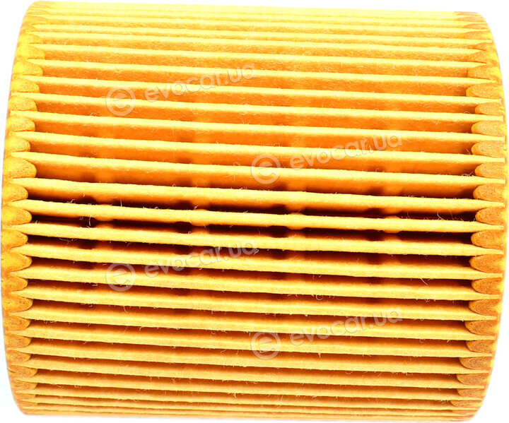 Solgy 101024