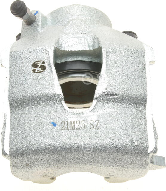 Borsehung B11369