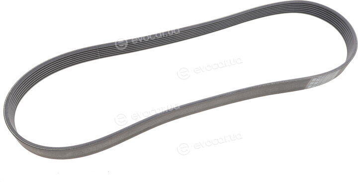 Continental 7PK1119 EXTRA