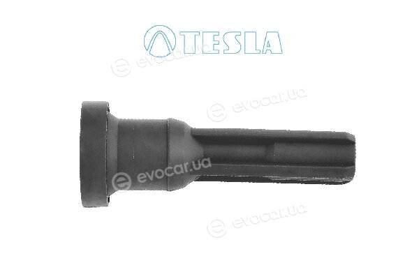 Tesla CP084