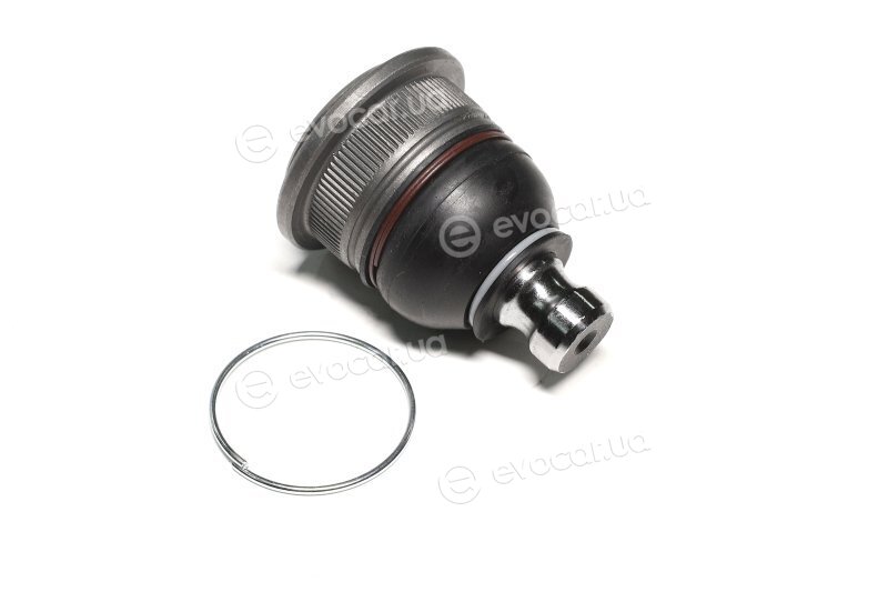 Sasic 4005272