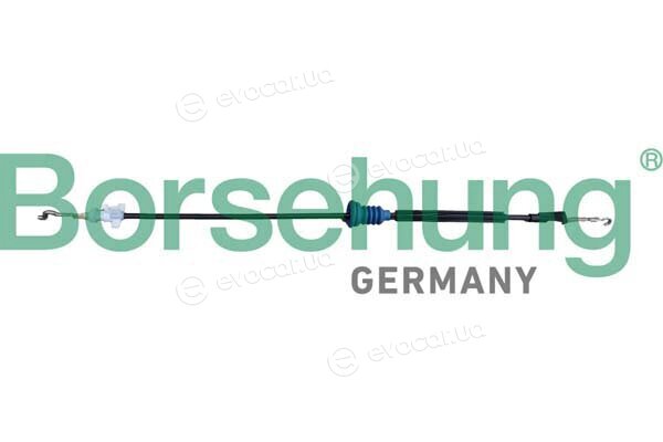 Borsehung B12341