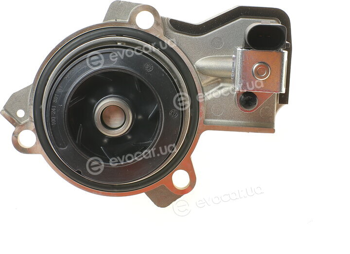 Continental CT1168WP7