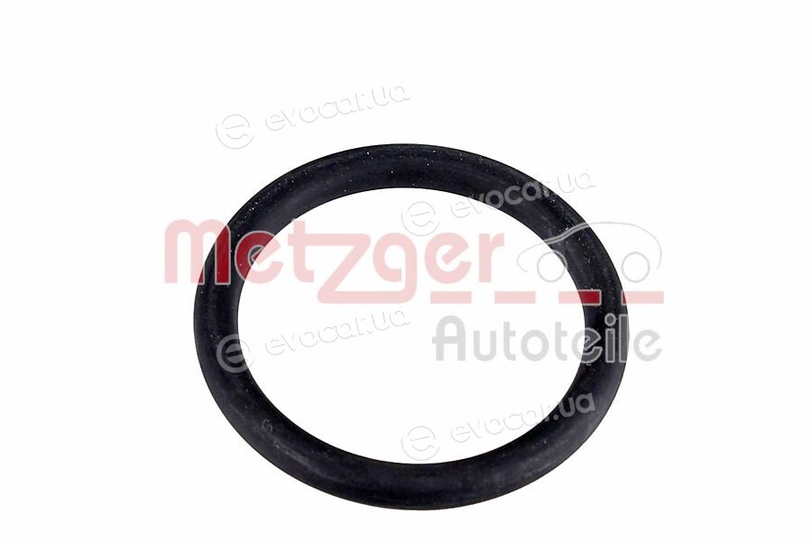 Metzger 2430156