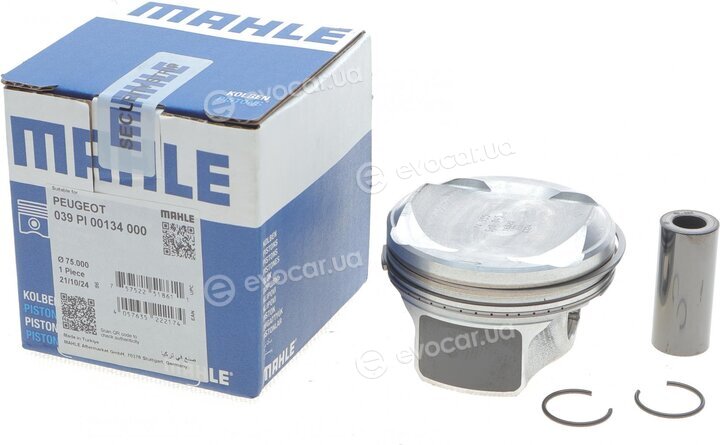 Mahle 039 PI 00134 000