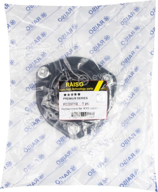 Raiso RC09010