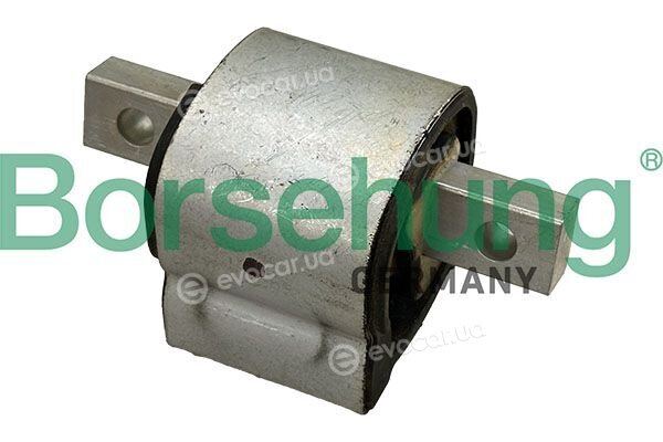 Borsehung B13426