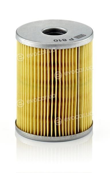 Mann P 810 x