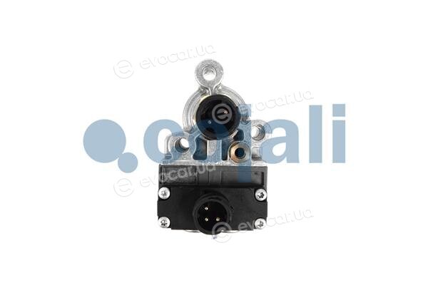 Cojali 2816001