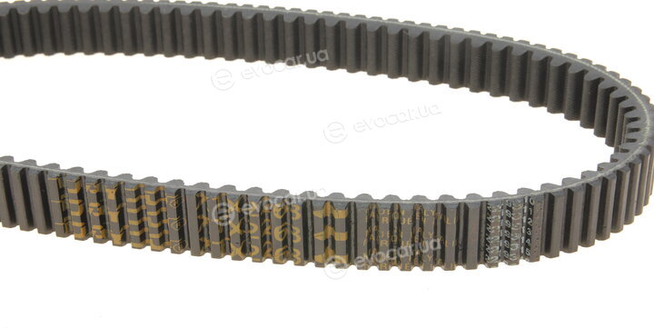 Dayco XTX2268