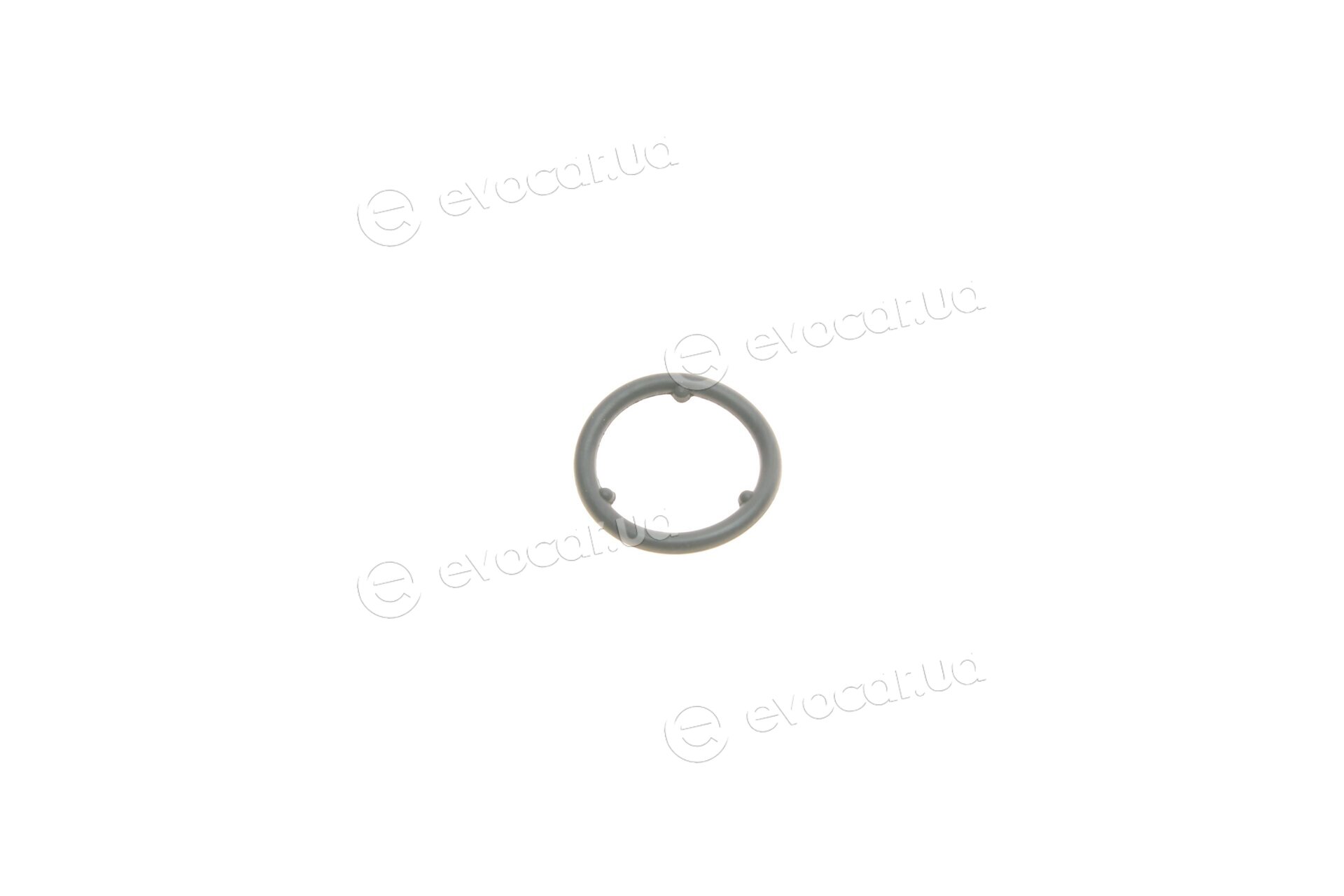 Van Wezel 58013703