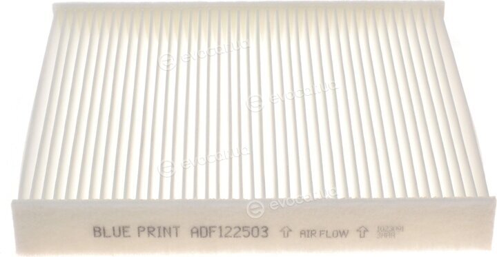 Blue Print ADF122503