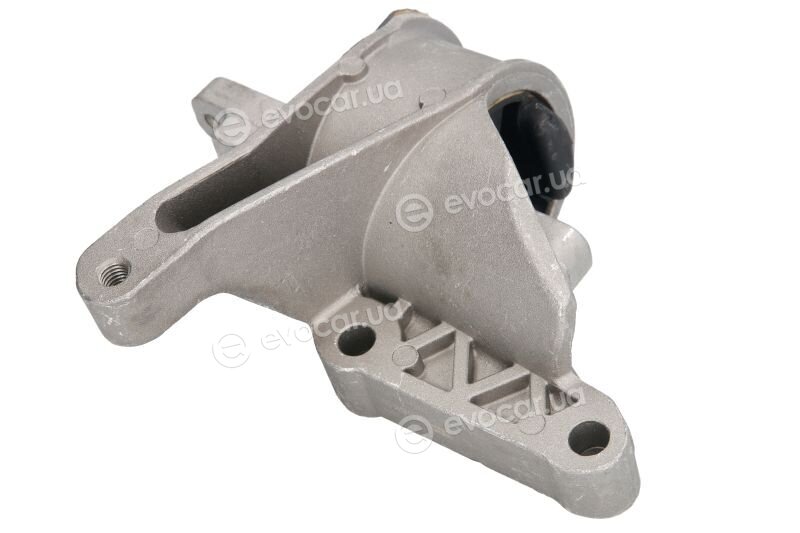 Reinhoch RH11-0117
