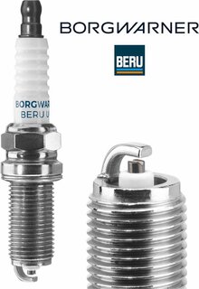 BorgWarner Z184
