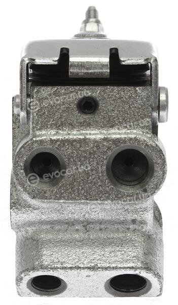 Starline BH ST497