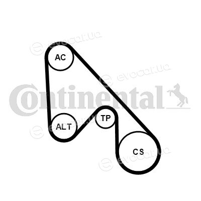 Continental 5PK1145K1