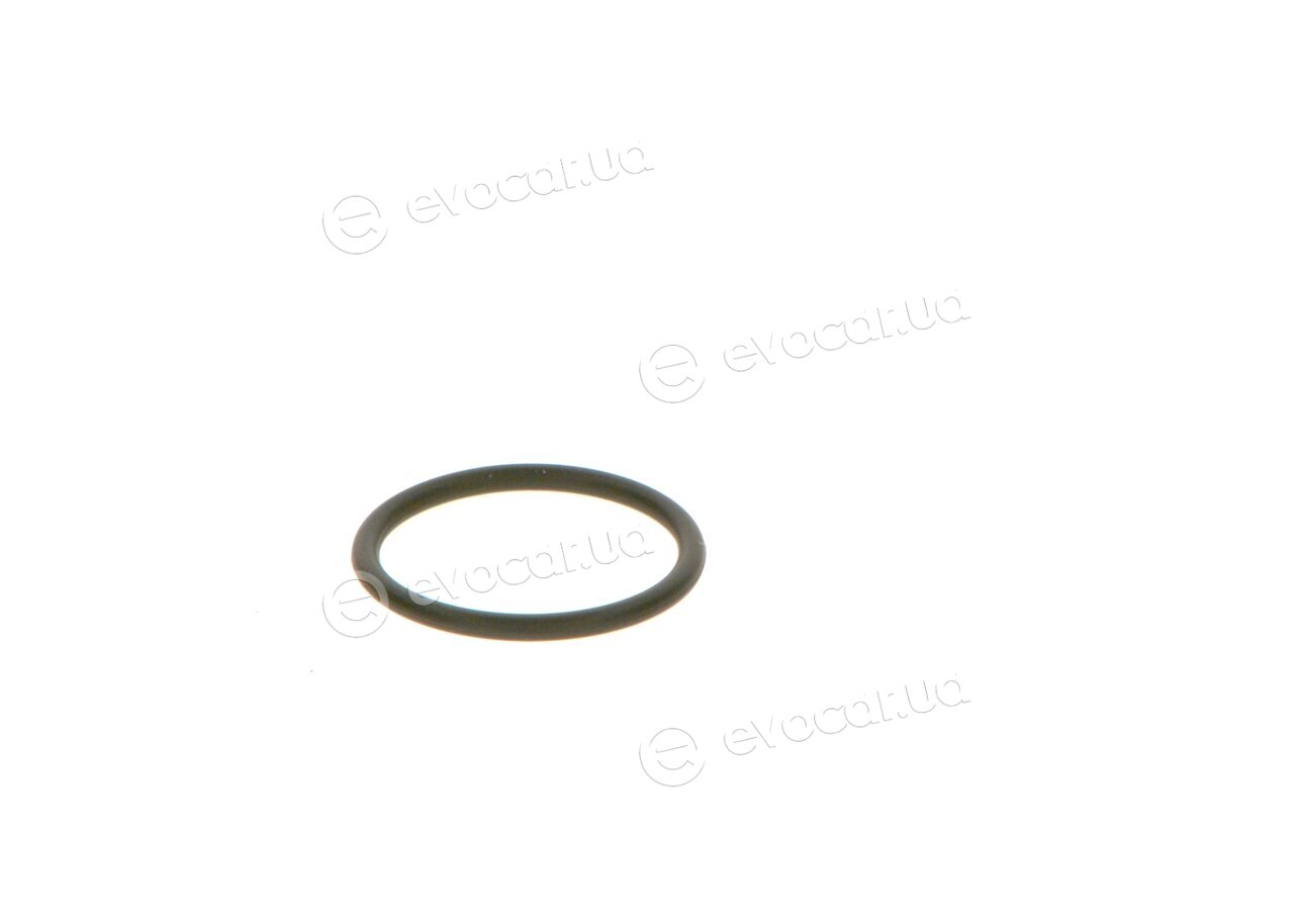 Bosch F 00V C38 042