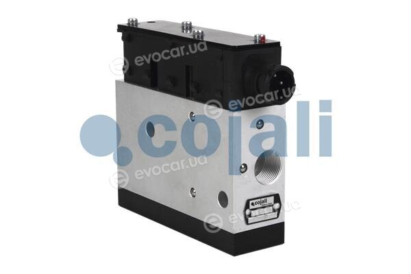 Cojali 2309100