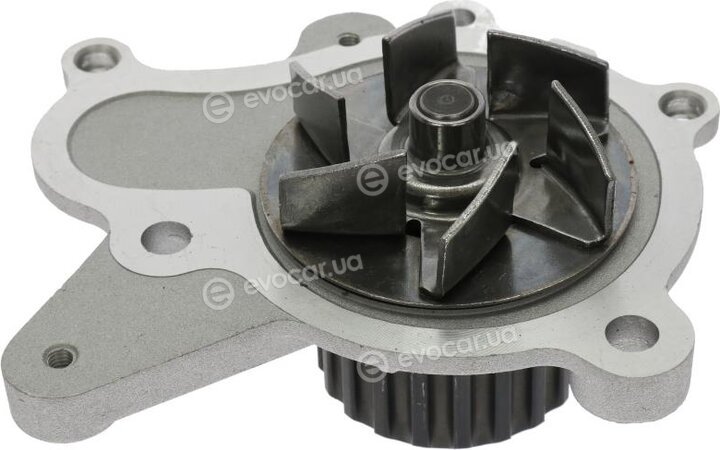 Starline VP K146-2