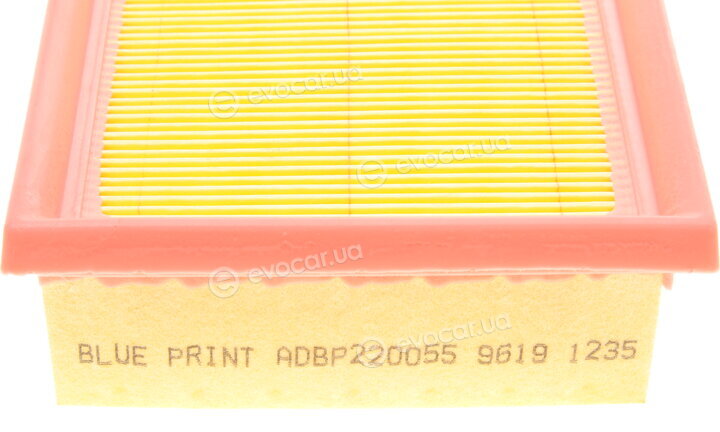 Blue Print ADBP220055
