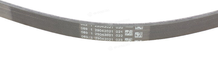 Continental 4PK1022 ELAST