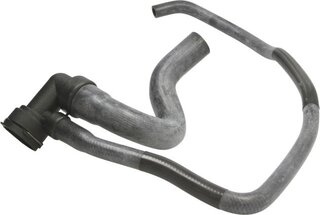 Sasic 3406305
