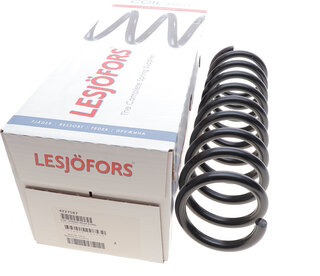 Lesjofors 4227587