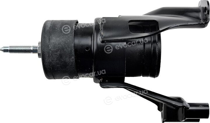 NTY ZPS-NS-171